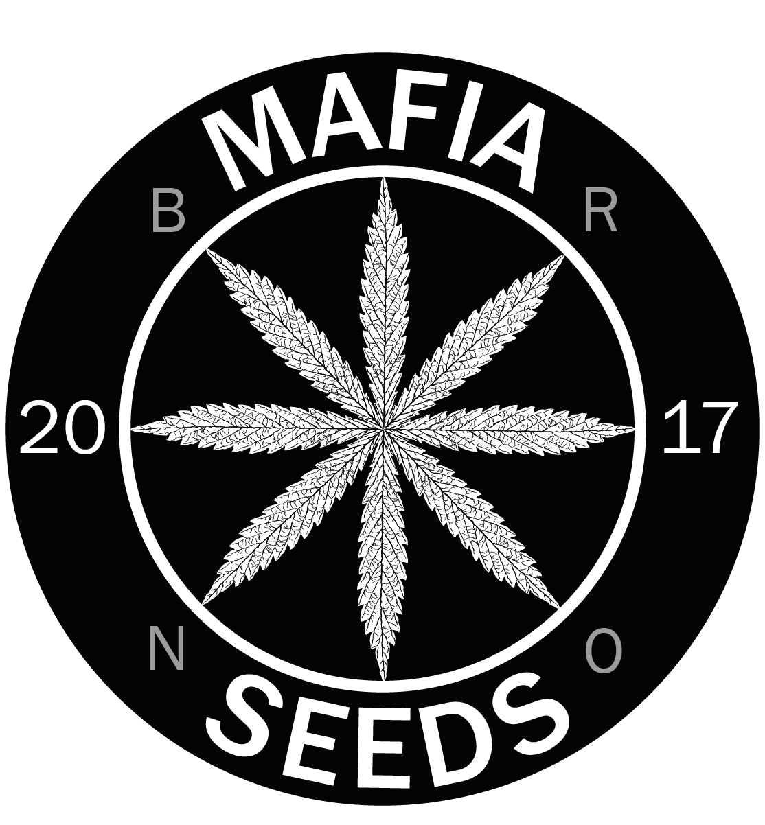 Mafiaseeds