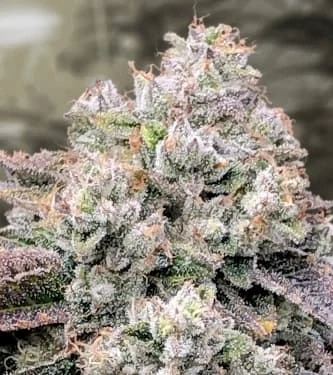 Strawberry Banana FAST
