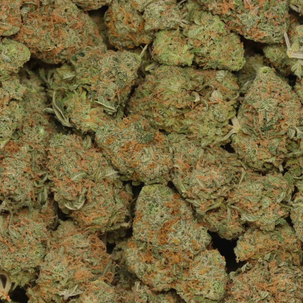 Cherry Pie