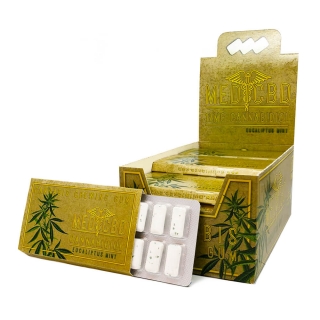 CBD Eucalyptus Mint brown žvýkačky (24pcs/display)